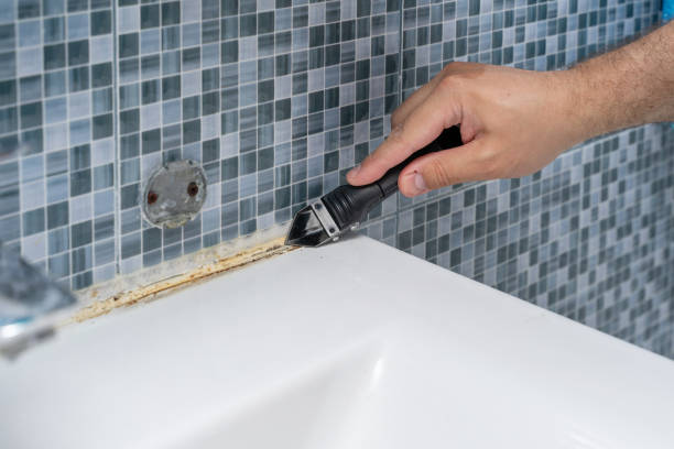 Best Fast Mold Removal  in Baxter, TN
