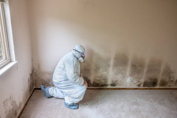 Crawl Space Mold Removal in Baxter, TN